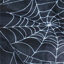 
                                      Spiderweb
                                    